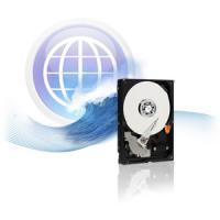 250GB WESTERN Sata2
