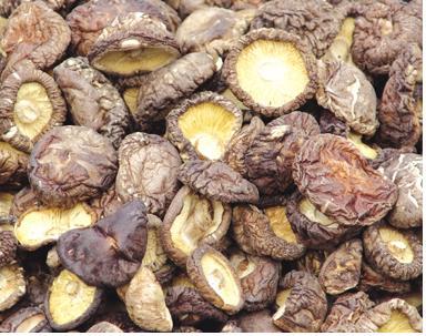 Nấm Đông cô (Nấm Hương)