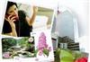 Thái Lan đấu thầu 3G vào giữa tháng 12