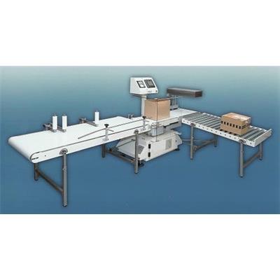 Hệ thống cân kiểm tra tự động - cân kiểm tra checkweigher