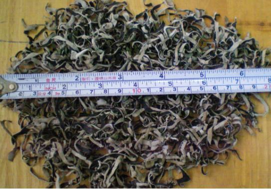 Nấm Mèo Cắt Sợi