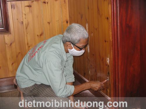 Phòng mối công trình đang xử dụng