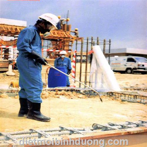 Thiết kế, thi công chống mối cho công trình xây dựng