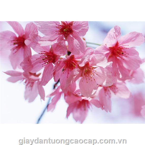 Tranh 140