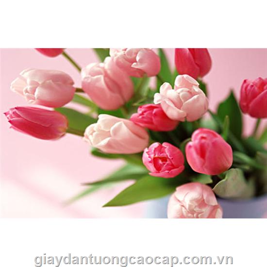 Tranh 146
