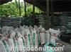 Warehouse coconut shell charcoal