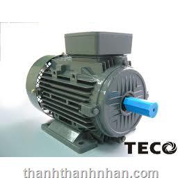 MOTOR TECO (CHÂN ĐẾ - 6P - 960 RPM)