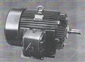 MOTOR CHỐNG CHÁY NỔ