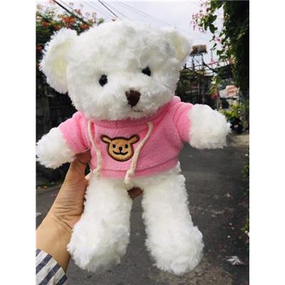 Gấu Bông Teddy Mặc Áo Hoodie Hồng Cao 28cm