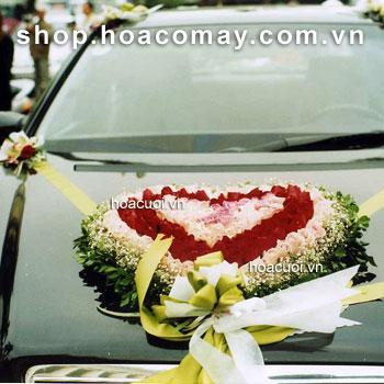 TOYOTA VIOS 04 CHỖ NGỒI