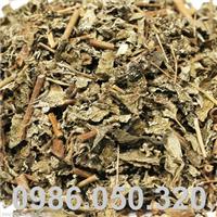 Trà Dây - Dùng trị bệnh đau dạ dày - 1